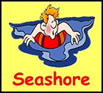 Find out all about the Seashore in Beara!