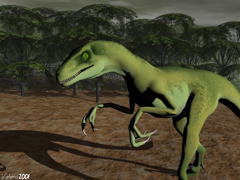 Raptor