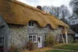 thatch h.jpg (3703 bytes)